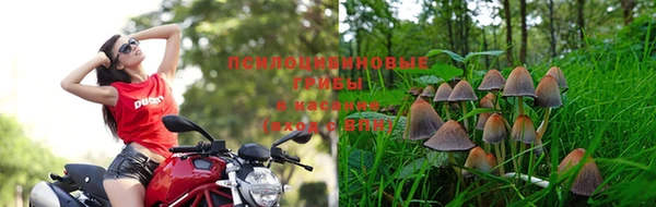 jwh Дмитриев