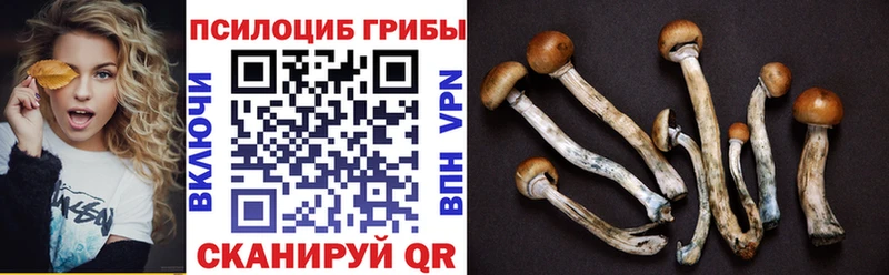 Псилоцибиновые грибы мухоморы Ясный
