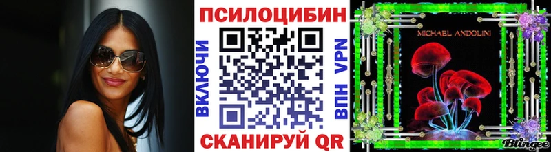 Псилоцибиновые грибы Cubensis  ОМГ ОМГ как войти  Ясный 